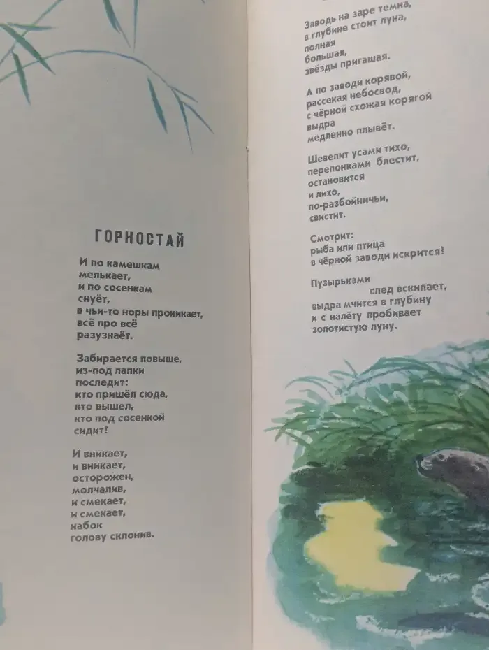 Солнце в дупле