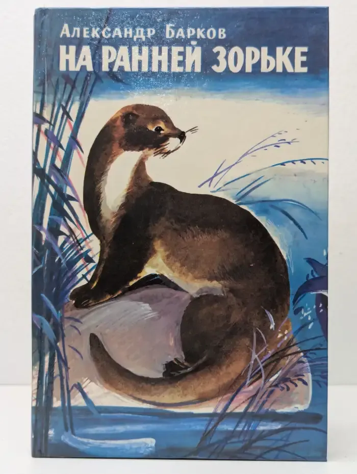 На ранней зорьке