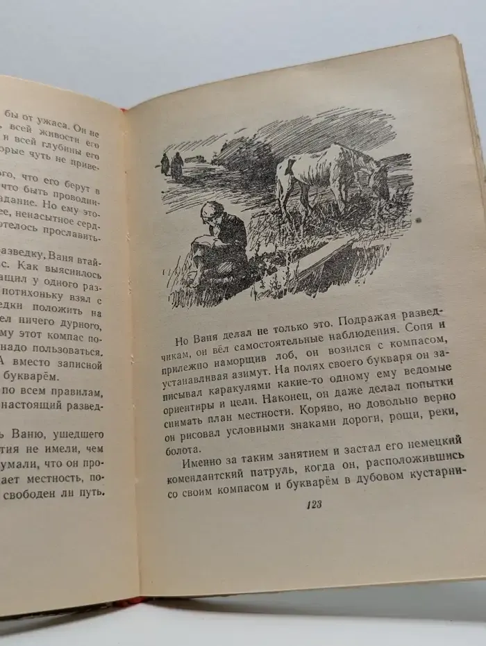 Сын полка