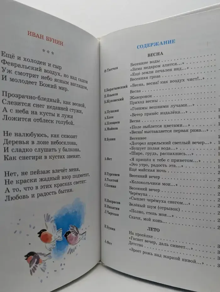 Времена года: Стихи русских поэтов