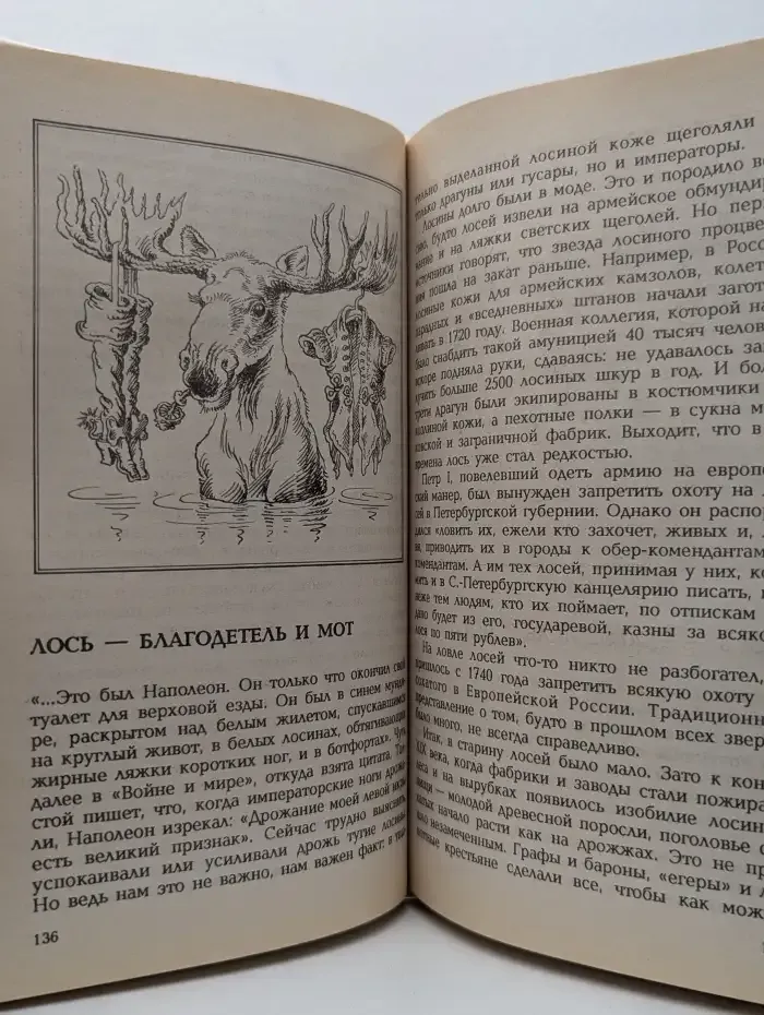 Зверинец у крыльца