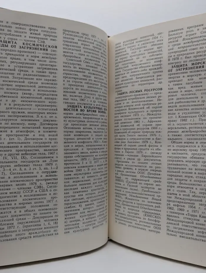 Словарь международного права