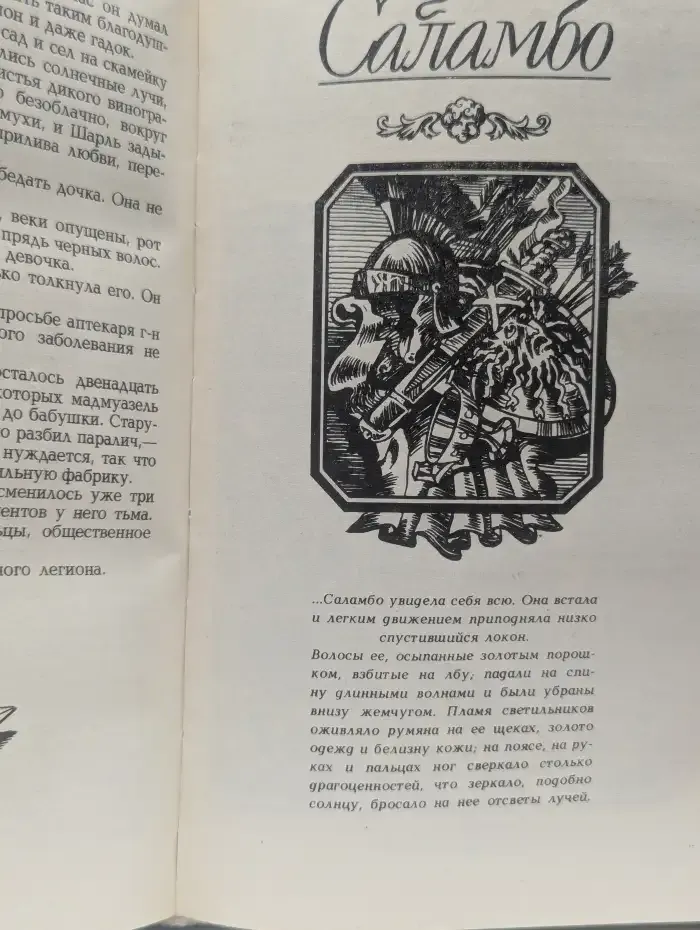 Госпожа Бовари. Саламбо