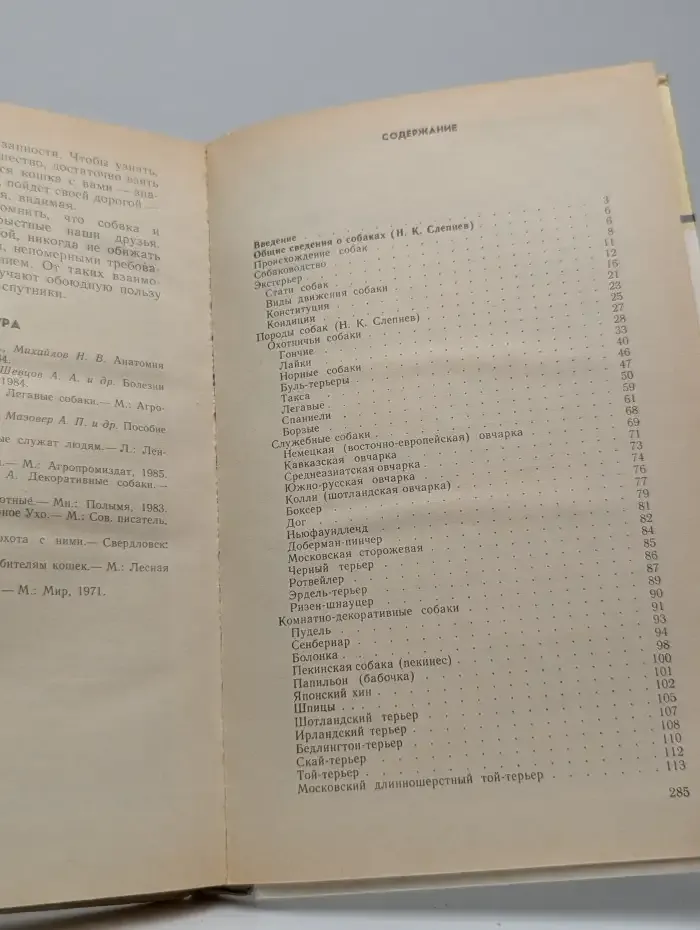 Наши четвероногие друзья