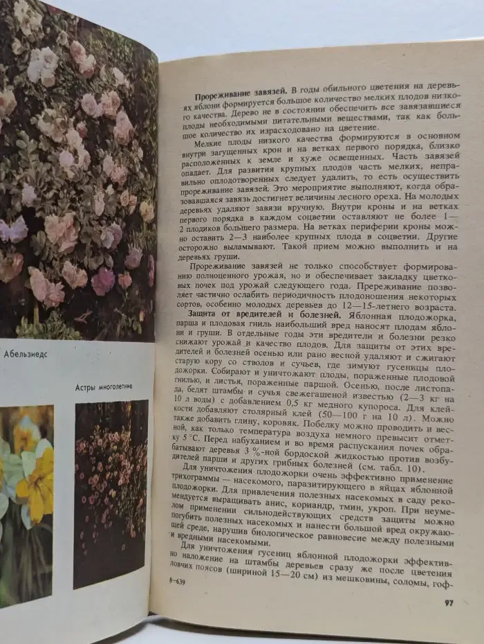 Садово-огородный участок