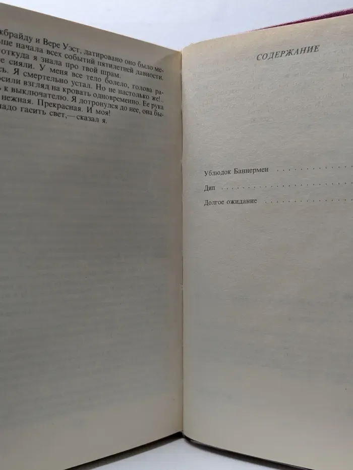 Долгое ожидание. Книга 5