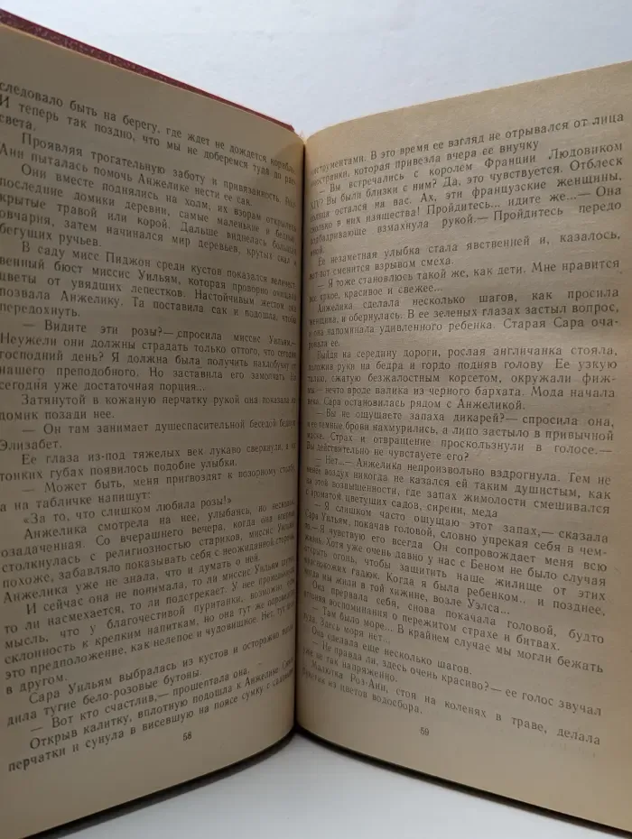 Искушение Анжелики. Анжелика в Голдсборо