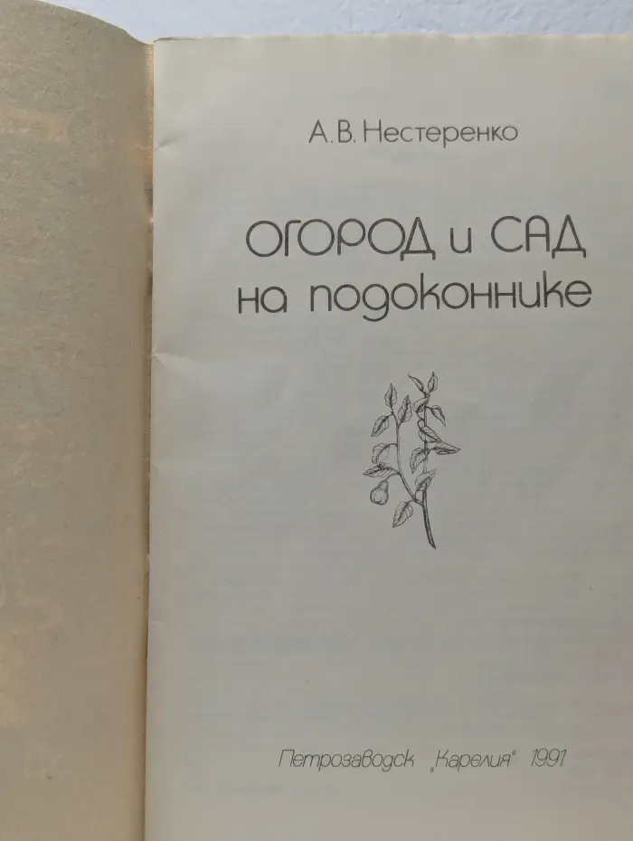 Огород и сад на подоконнике