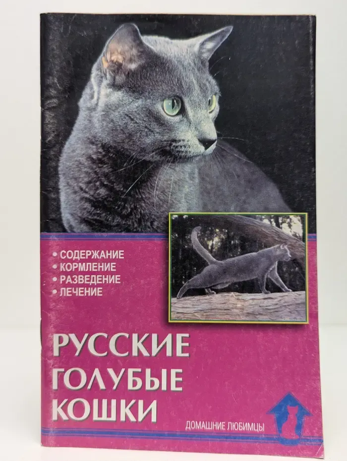 Русские голубые кошки. Содержание. Кормление. Разведение. Профилактика заболеваний