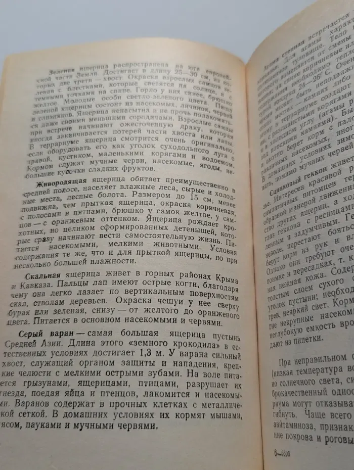 Кошки, собаки, попугаи и другие…