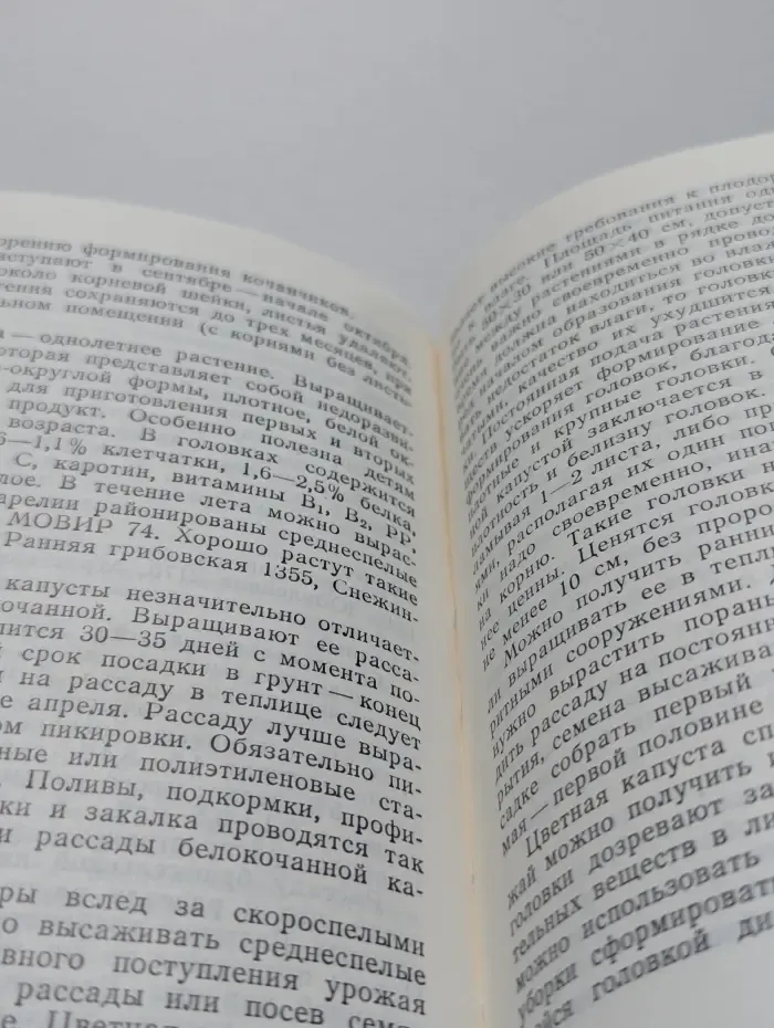 Овощи на грядке и на столе