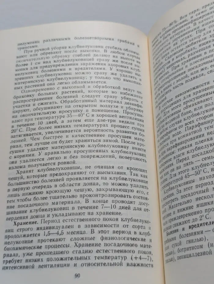 Цветы для букета
