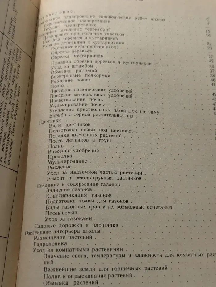 Декоративное садоводство