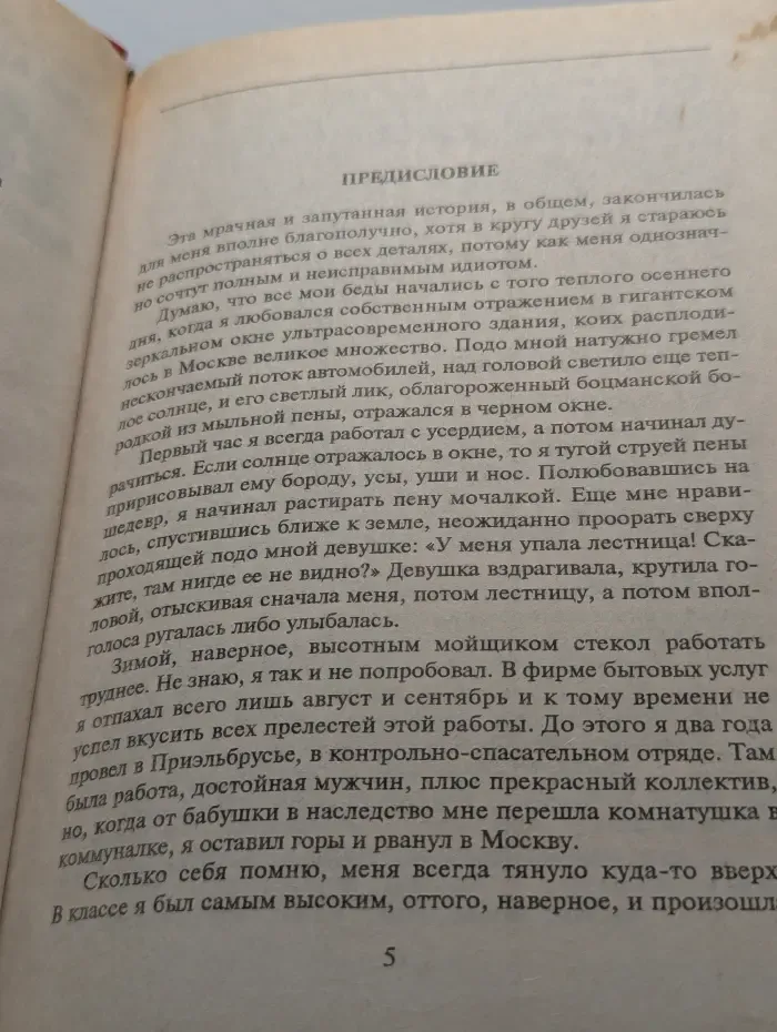 Темная лошадка