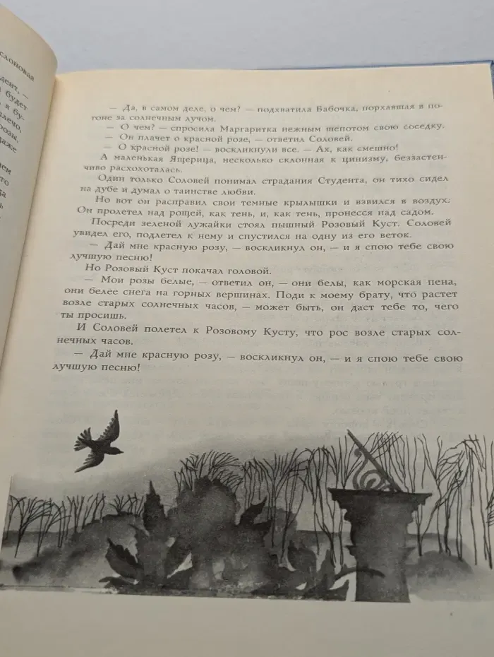 Мальчик-Звезда