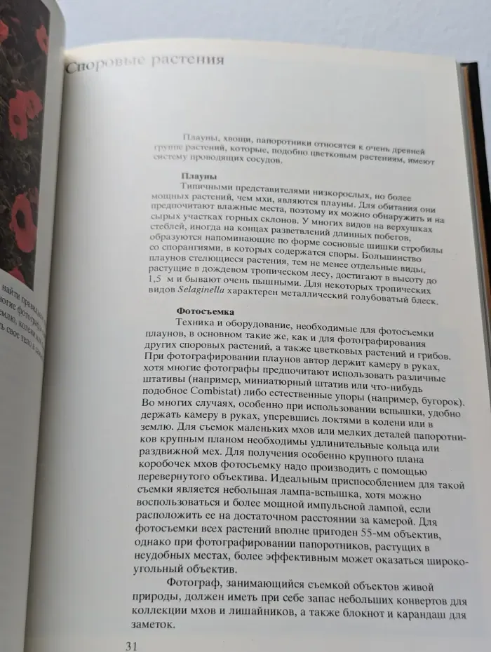 Фотографирование живой природы