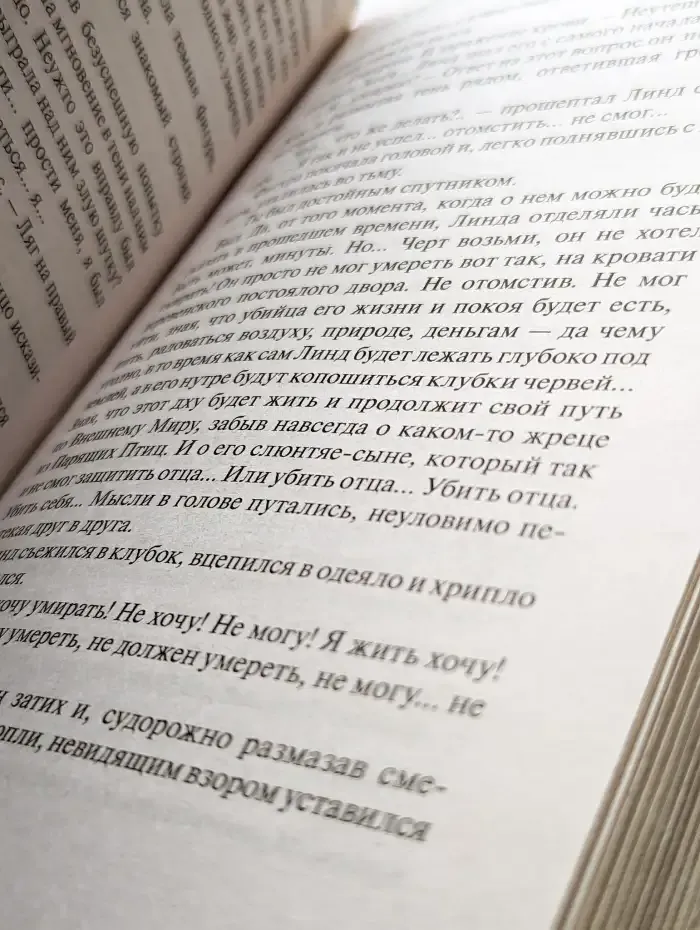 Кровь моего врага