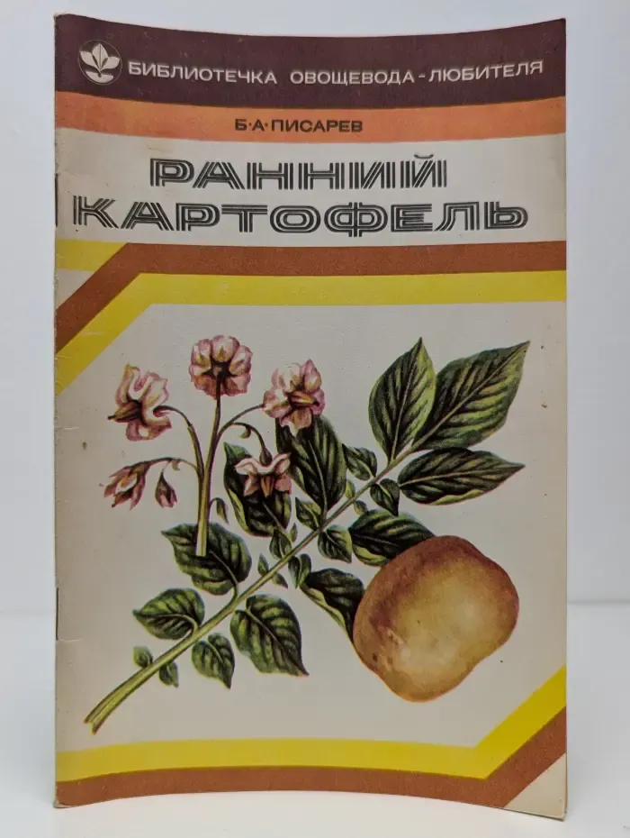 Ранний картофель