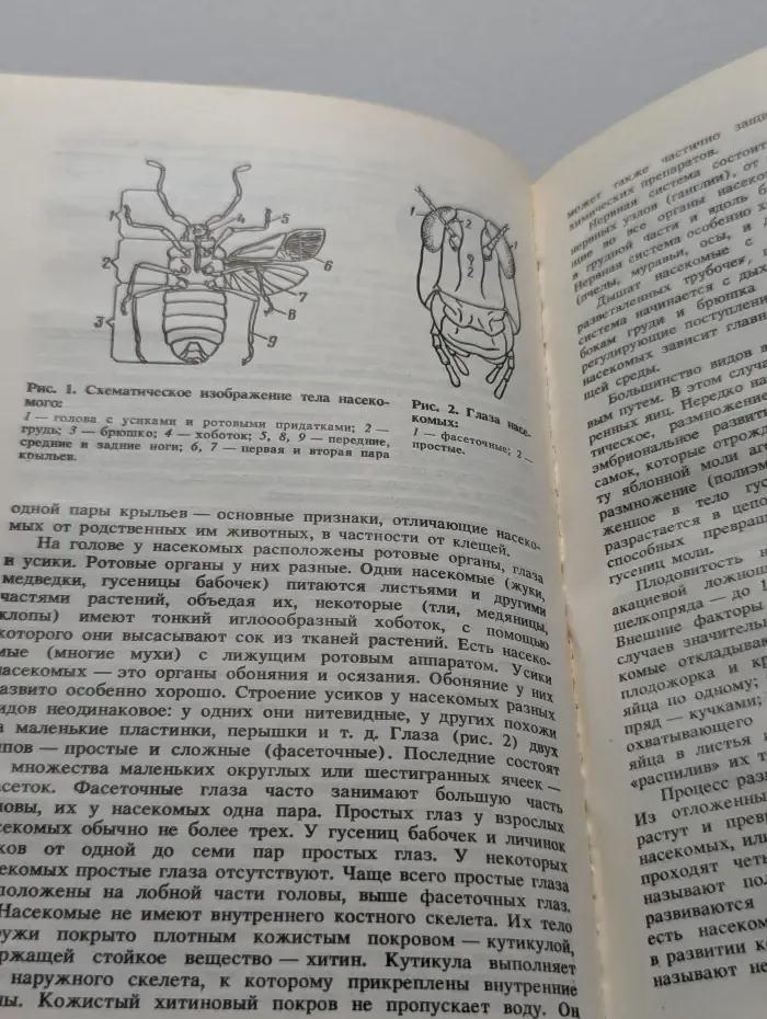 Защита растений от вредителей и болезней