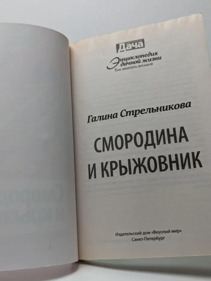 Смородина и крыжовник