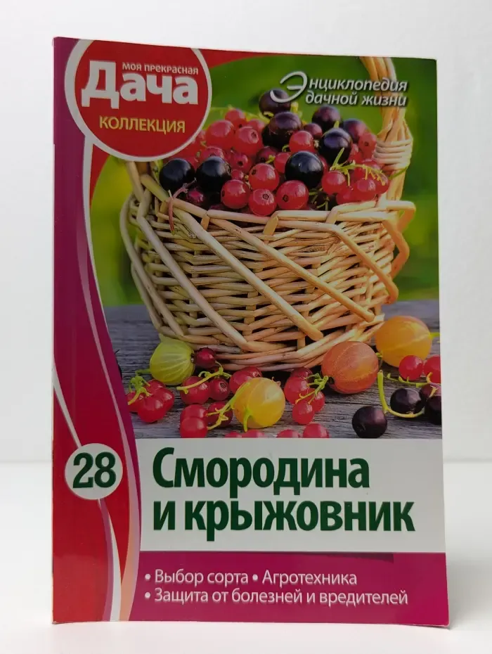 Смородина и крыжовник