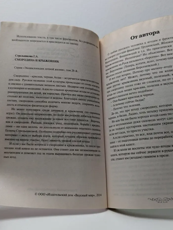 Смородина и крыжовник
