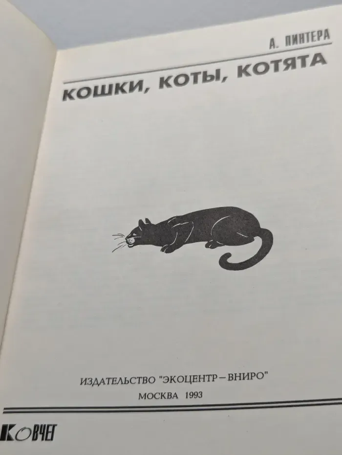 Кошки, коты, котята