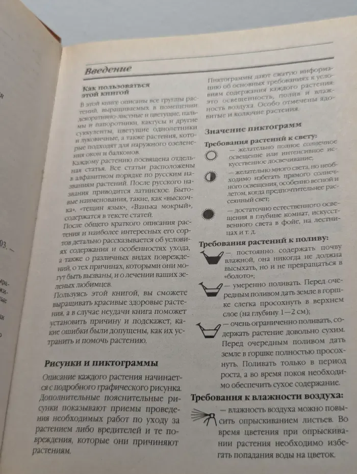 Комнатные растения