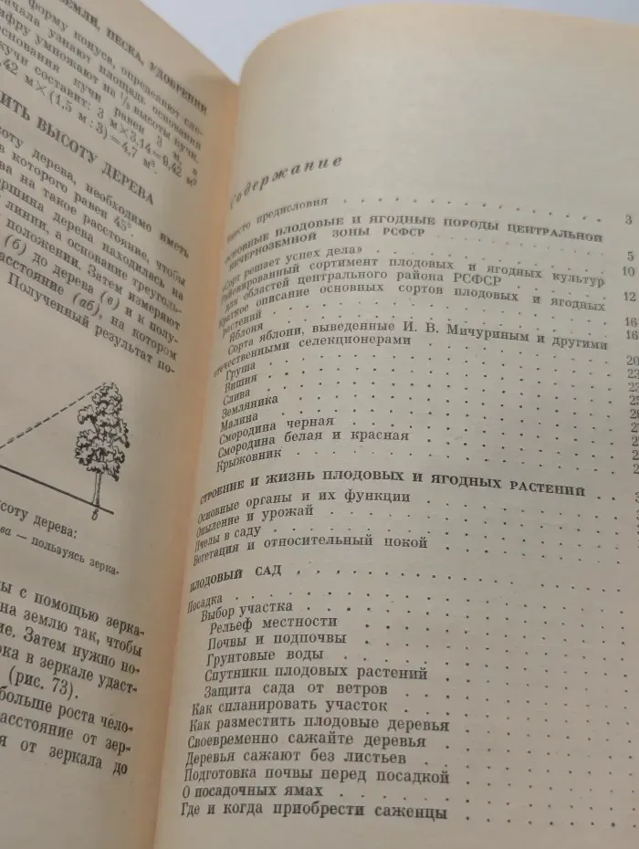 Практические советы по садоводству