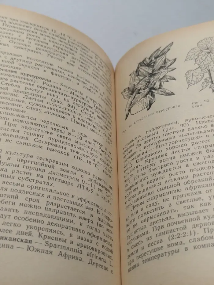 Цветы в комнате и на балконе