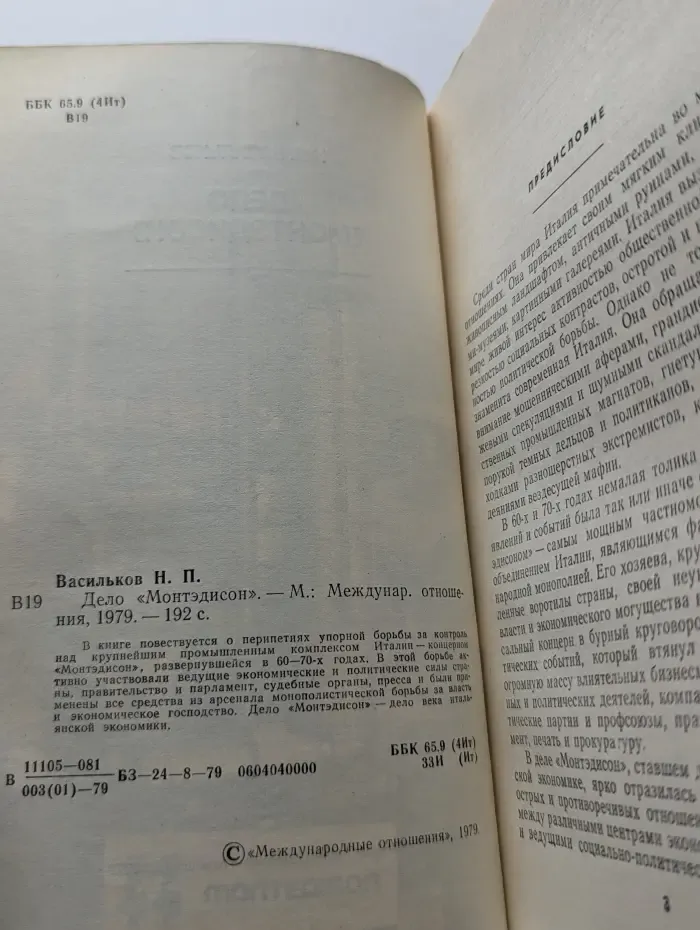 Дело "Монтэдисон"