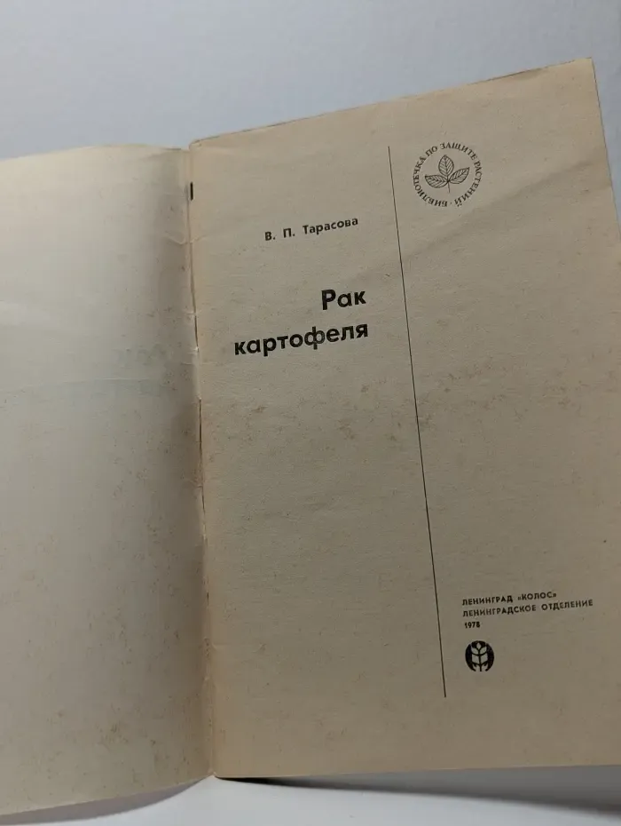 Рак картофеля