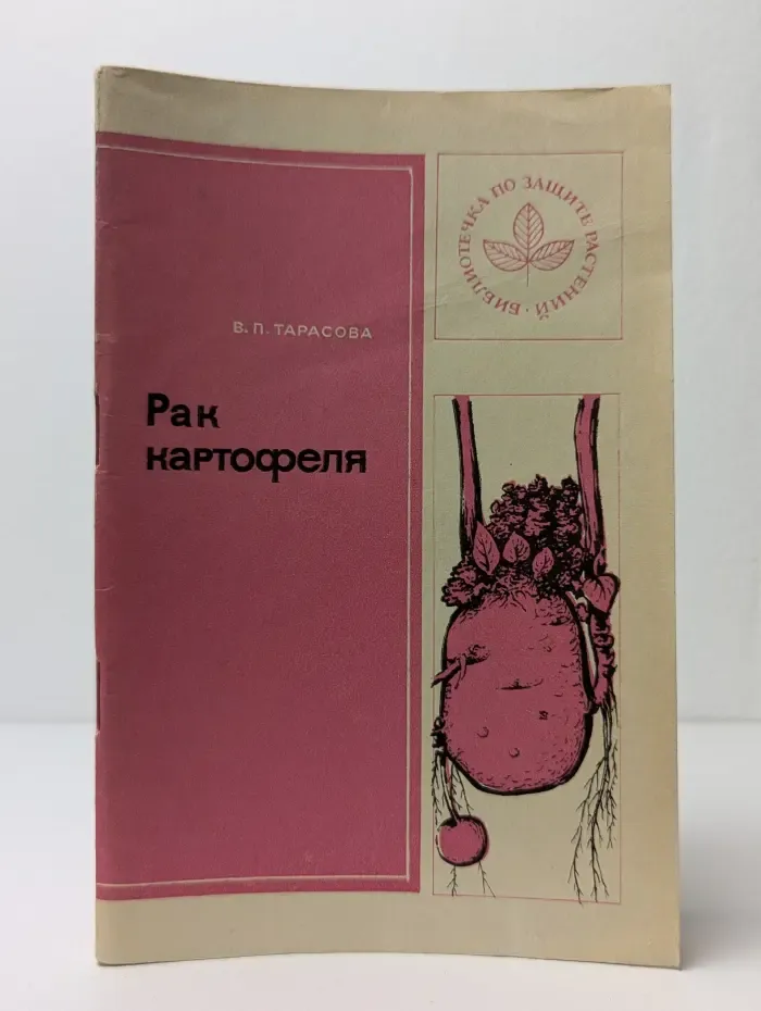 Рак картофеля