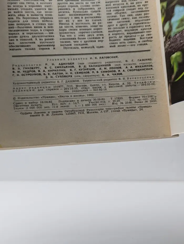 Наука и Жизнь. Выпуск № 11/1982