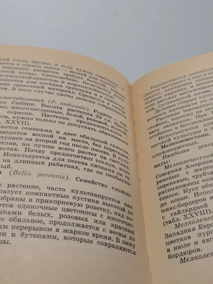 Советы цветоводам