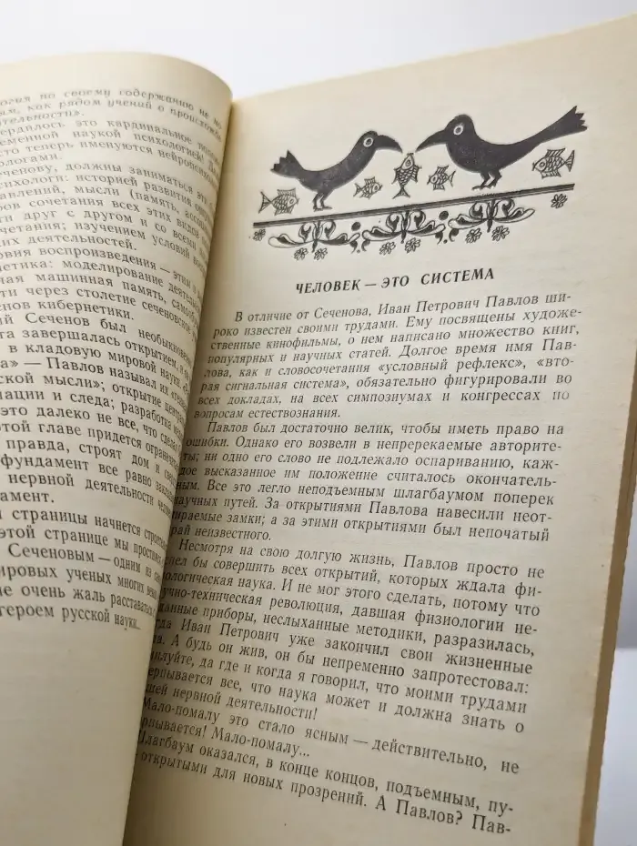 Тайны, догадки, прозрения