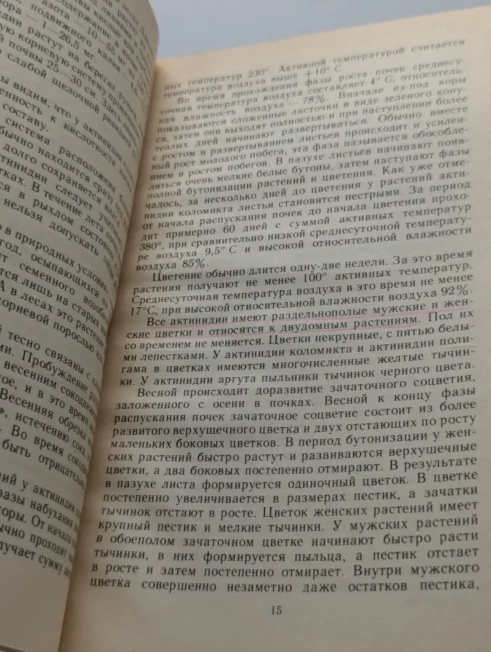 Лесные незнакомцы в нашем саду