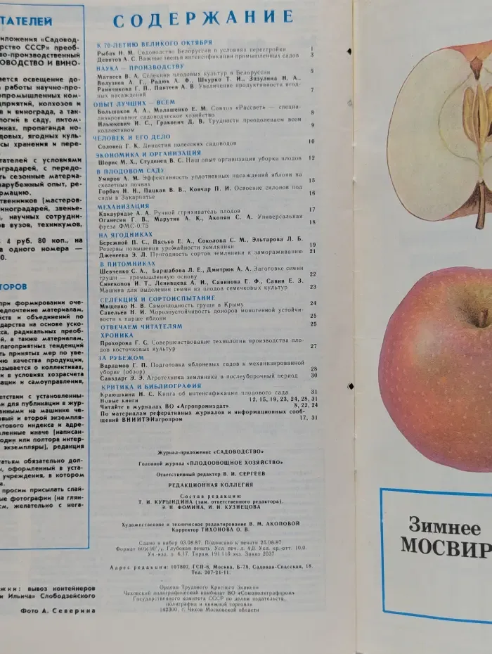 Садоводство. Выпуск № 5/1987