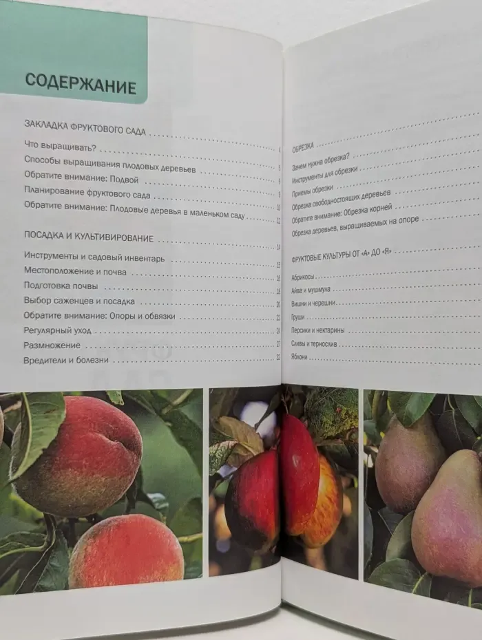Фруктовый сад. Иллюстрированный справочник