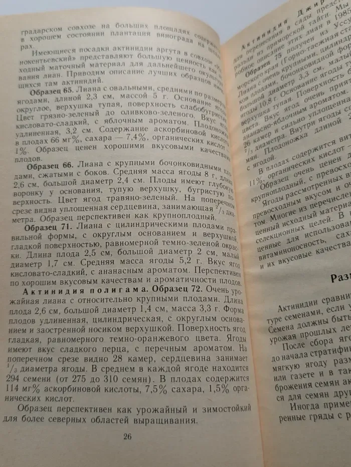 "Лесные незнакомцы" в нашем саду