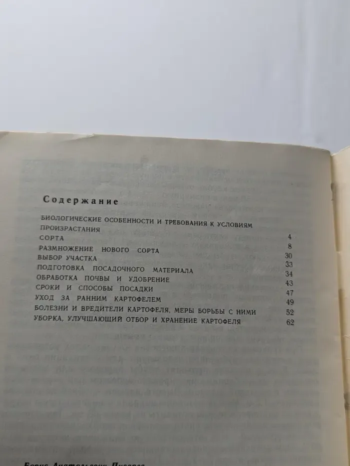 Ранний картофель