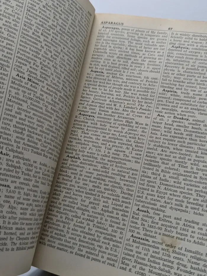 The New American Encyclopedia. Illustrated