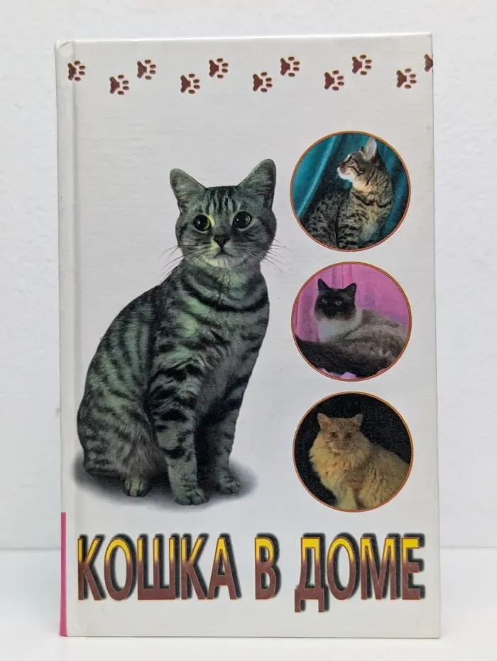 Кошка в доме