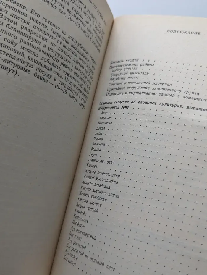 Овощи на приусадебном участке