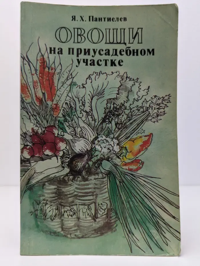 Овощи на приусадебном участке