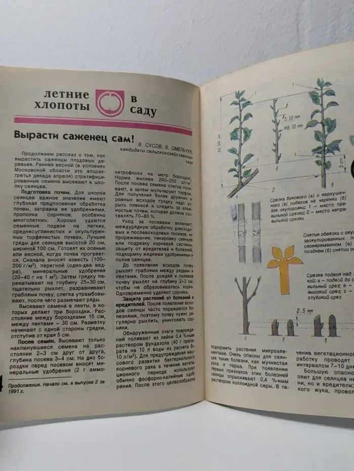 Сад и огород. Выпуск № 4/1992