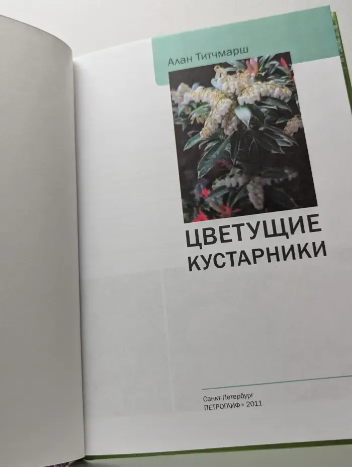 Цветущие кустарники
