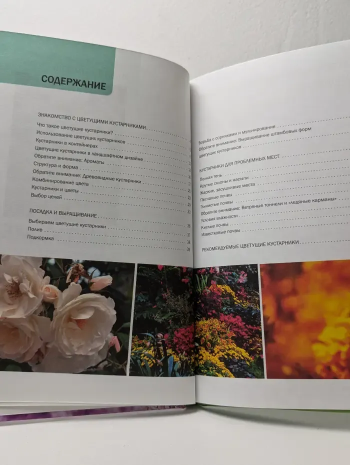 Цветущие кустарники