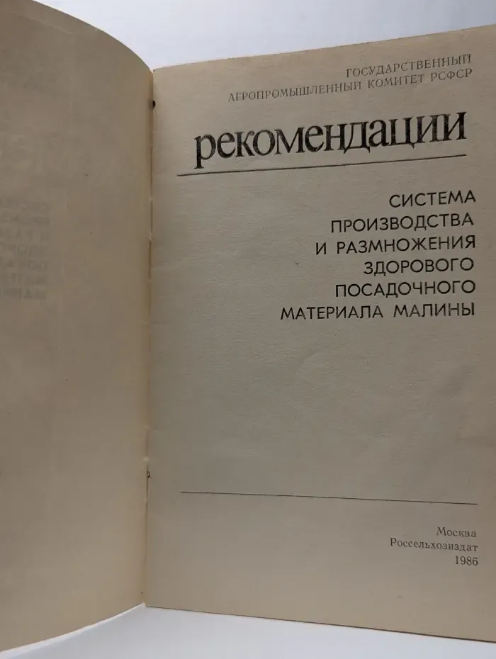 Рекомендации. Система производства и размножения здорового посадочного материала малины