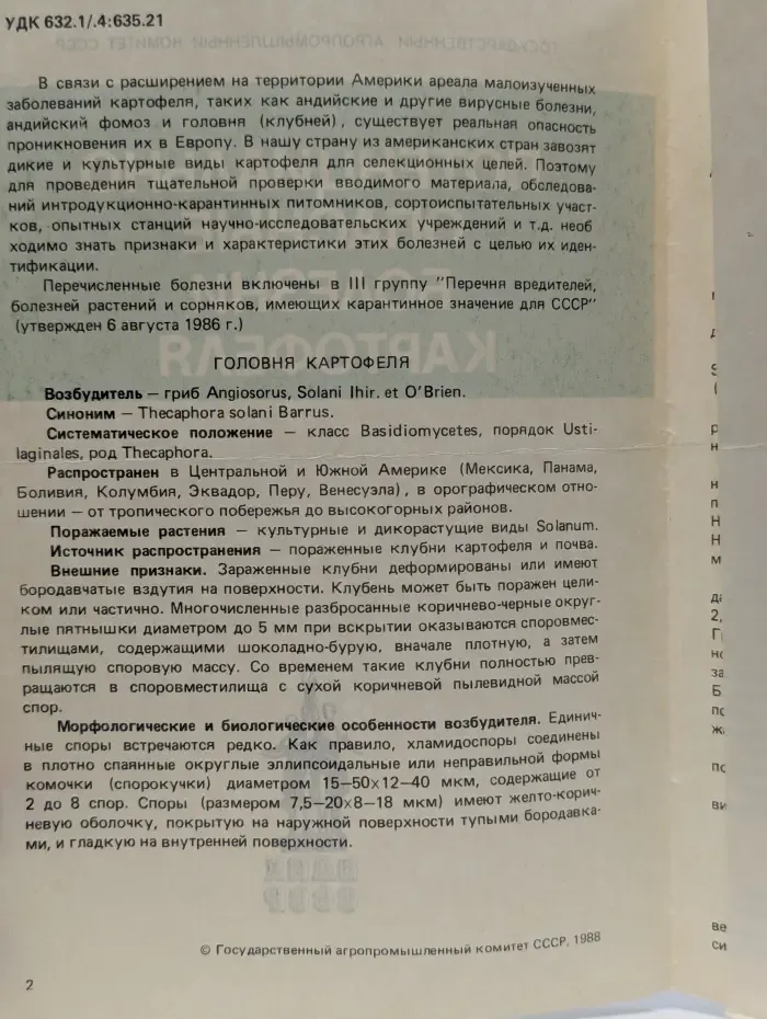 Потенциально опасные болезни картофеля